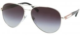 Sunglasses - Bvlgari - BV5021 - 102/8G SILVER // GREY GRADIENT